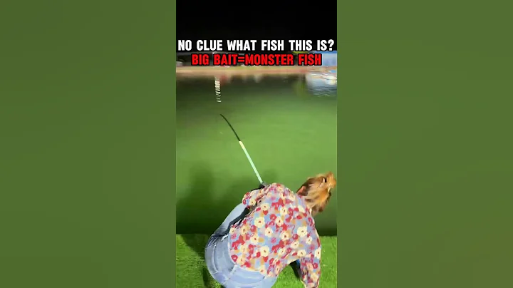 Biggest bait, biggest fish, biggest surprise!#fishing #fishinglife #bigfish #casting #fishingvideo