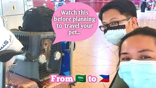 HOW TO TRAVEL YOUR PET INTERNATIONALLY