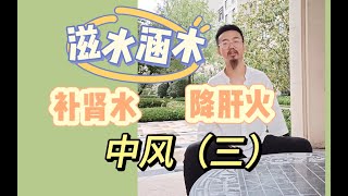 中风（三）滋水涵木，通过补肾水来降肝火，中医常用养肝诀窍