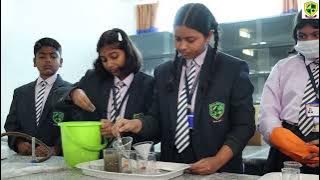 Himalayan Public School Dhupguri|New Admission 2024|Best school for children's in Dhupguri