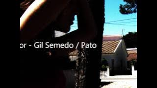 Amor Inesquecivel - Pato