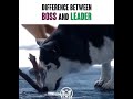 Different between Boss and leader | How to Learn Leadership Skill | Best Books Help You Best Leader