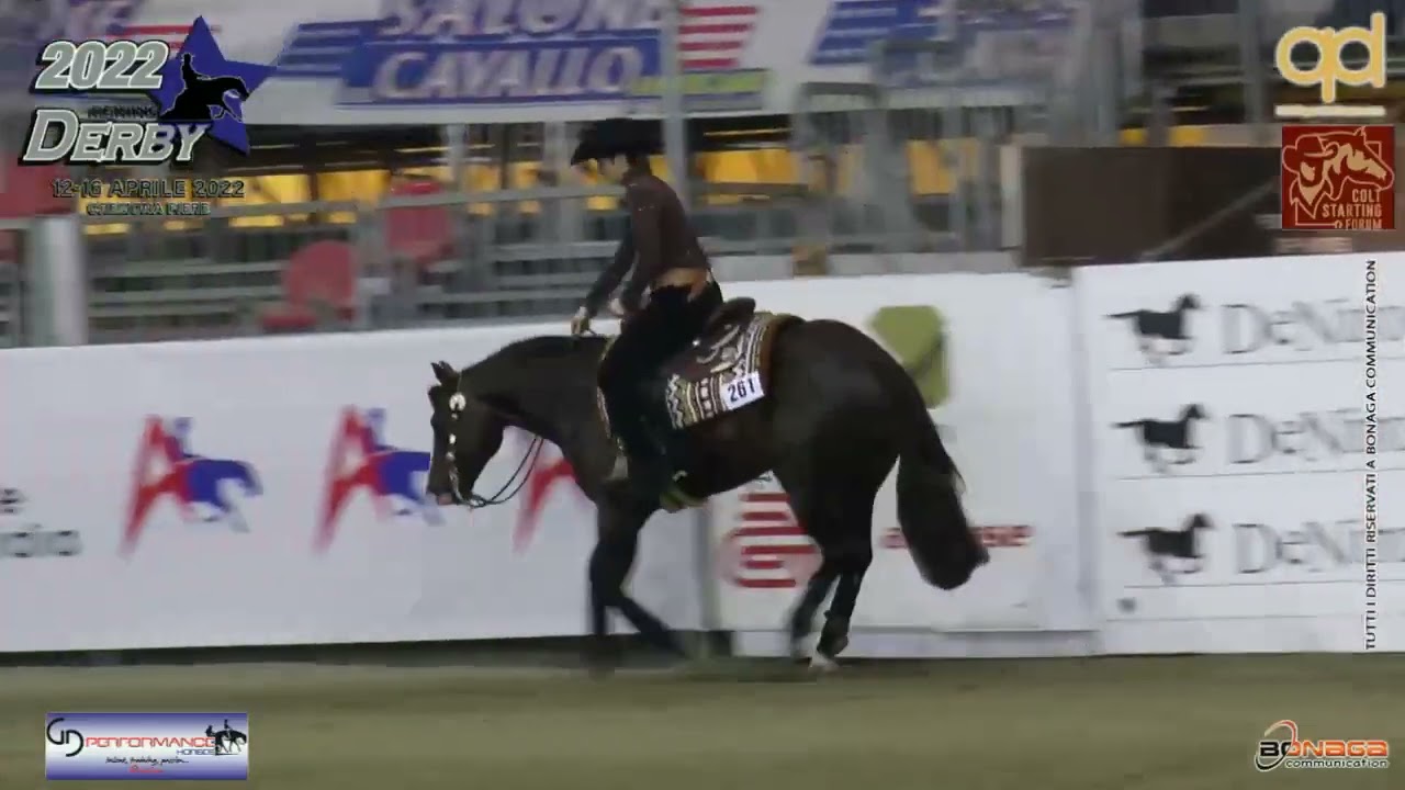 Derby 2022 - SYLVIA RZEPKA & WIMPY WALLA WHIZ score 223,5