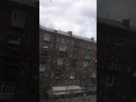 Снег в Киеве. 10.05.2017 Снег в Киеве. 10.05.2017