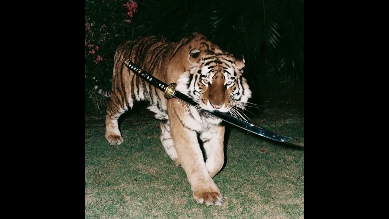 (FREE) 90s Boom Bap Freestyle Type Beat–Underground Streets| Old School Jazz Rap Beat 2026 | Hip Hop