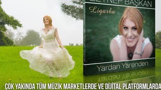 Zeynep BAŞKAN - AH BUĞDAYIM Resimi