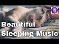 Beautiful sleeping music  meditation music  sleep music  ambient study music  focus  influence