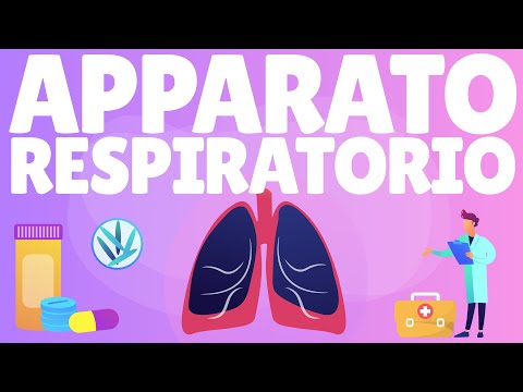 Video: I Polmoni Come Organo Respiratorio