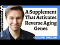 A common supplement not nmn that activates reverse aging genes  dr david sinclair interview clips