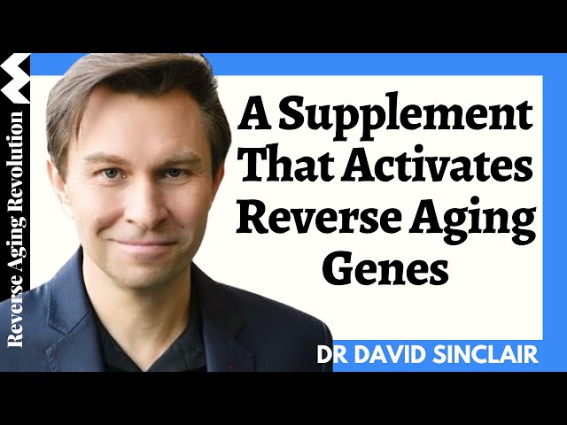 A Common Supplement (Not NMN) That Activates Reverse Aging Genes | Dr David Sinclair Interview Clips class=