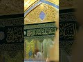 Assallamu Aliaka ya Babul Hawaiz Hazrat Abbas ibne Ali (as) #highlights