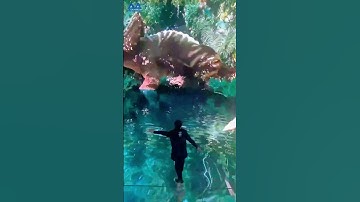 Immersive LED display applications#leddisplay #ledscreen #immersive #shots #shortvideo #shortsfeed