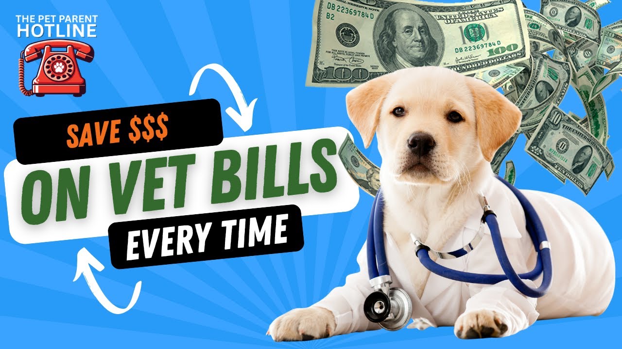 Dreading the Vet Bill? 5 Ways to Afford It Without Stress Dreading the Vet Bill? 5 Ways to Afford It Without Stress