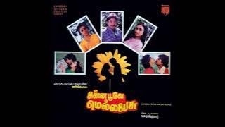 Sangeedha Vaanil :: Chinna Poove Mella Pesu : Remastered audio song