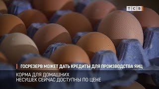 Госрезерв может дать кредиты для производства яиц