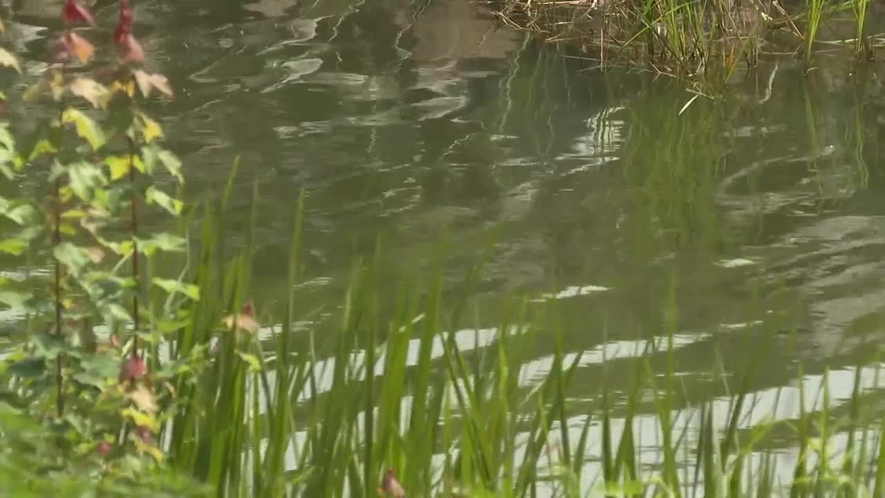 Man found dead in Flint River identified - YouTube