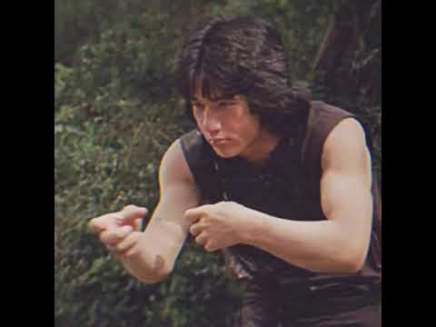 Drunken Fist | Early Jackie Chan Courtesy of st100dsworld