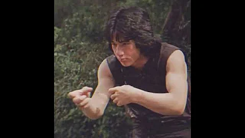 Drunken Fist | Early Jackie Chan Courtesy of st100dsworld