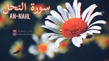 سورة النحل، سورة النعم ،An-Nahl، قراءه خاشعة  من القرآن الكريم....!