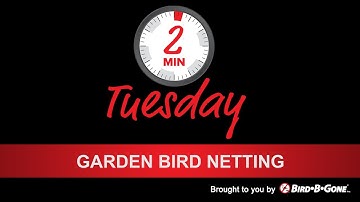 Garden Bird Netting versus Heavy Duty Bird Netting