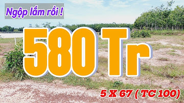 Đất Dầu Tiếng | BÁN GẮP 5 X 67 ( tC 100) CHỨ  NGỘP LÉM RỒI !#594