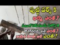 Wall Putty Price Details in Telugu // Wall Putty Primer Cost Calculation 2BHK Primer in Telugu