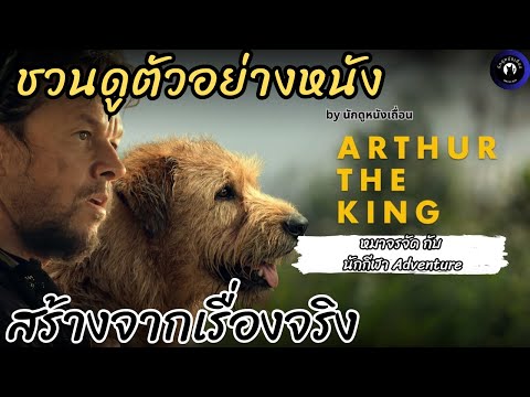 ตัวอย่างหนัง ARTHUR THE KING หนังดราม่าระหว่างนักกีฬากับหมาจรจัด สร้างจากเรื่องจริง