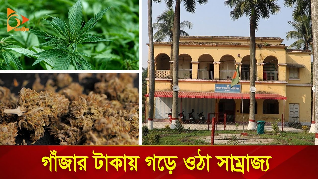 গাঁজা ছিল বাংলাদেশের প্রধান রপ্তানিযোগ্য সম্পদ | Nagorik TV Special