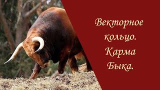 видео: Векторное кольцо. Карма Быка. картинка: Векторное кольцо. Карма Быка.
