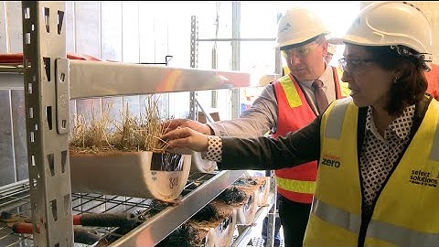 Rapid Earth Fault Current Limiter Test Demonstration