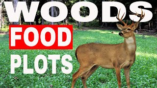 How To Plant A Food Plot In The Woods (UPDATED) 2021