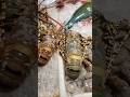 Какой ассортимент
