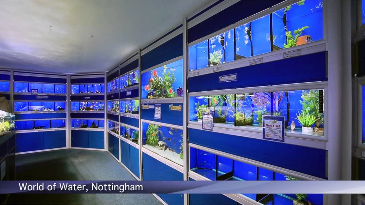 World Of Water Aquatic Centres Nottingham