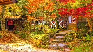 [Okuhida Onsenkyo] 10 Spectacular Views of Gifu to Visit in Autumn  Gifu, JAPAN in 8K