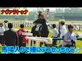 馬場入りで柵にぶつかって坂口騎手に励ましポンポンされるナヴァラトゥナ