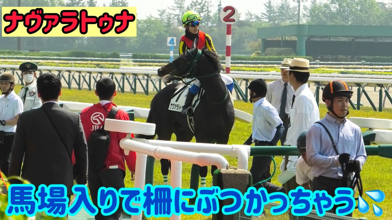 馬場入りで柵にぶつかって坂口騎手に励ましポンポンされるナヴァラトゥナ