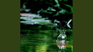 Stream Flow Serenity