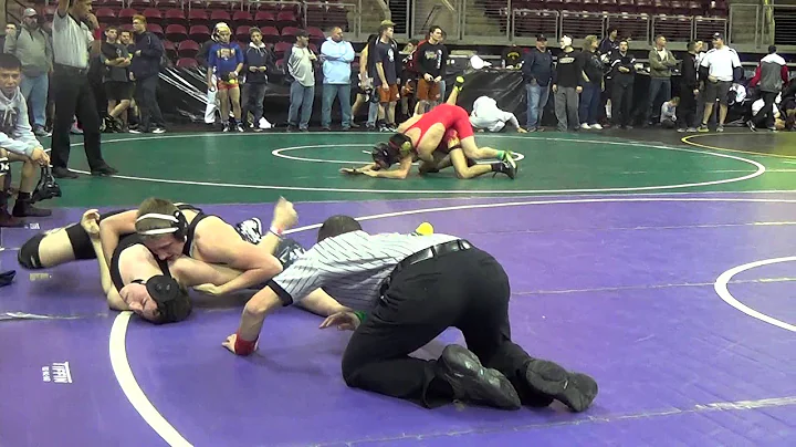 Karl Halstead Wrestling