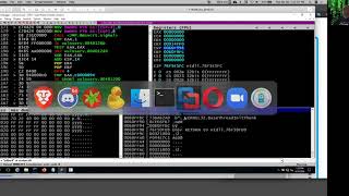 Celebrity Exploit Development Part 8 Net Worth