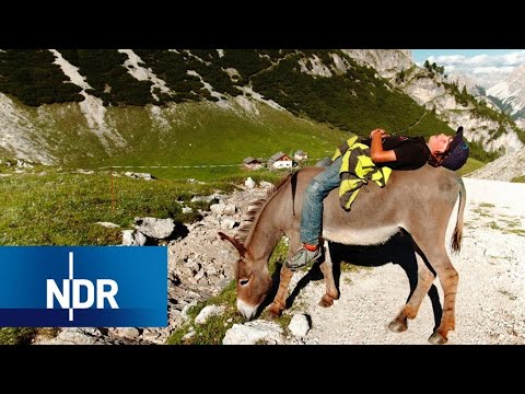 Ein Leben als Sennerin auf der Saletalm am Königssee | Abendschau | BR24