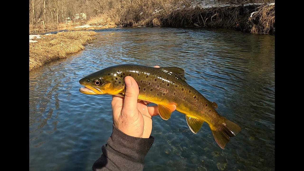 Рыбалка на форель в Висконсине - 14.02.2026