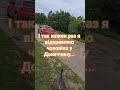 ...додому...