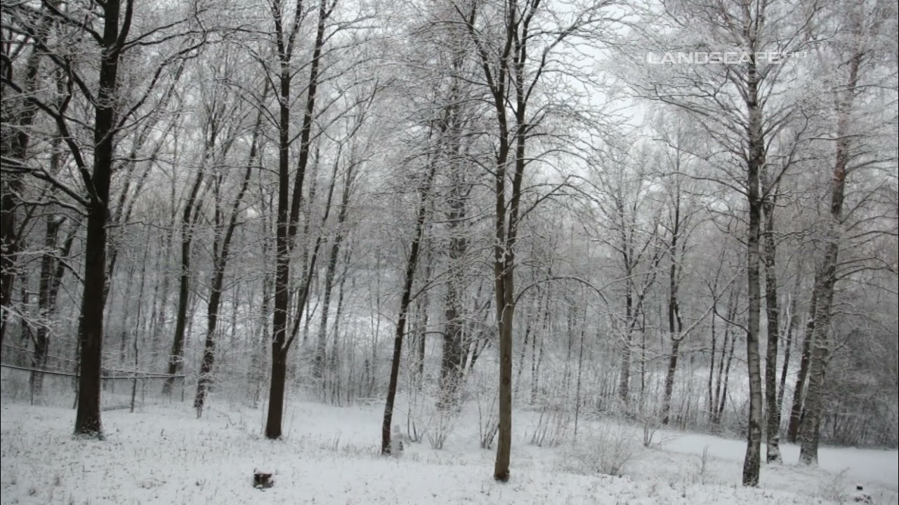 Michael Hoppe - Renouncement (LandscapeHD)