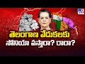 తెలంగాణ వేడుకలకు సోనియా వస్తారా? రారా? - TV9