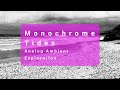Monochrome Tides | Analog Ambient Exploration