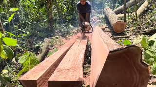 extraordinary skill,,, only in Indonesia to split wood this way,,, #pladu