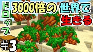 【マインクラフト】#3 ドロップが3000倍の世界で生きる　～ニンジン3000倍～【マイクラ実況】