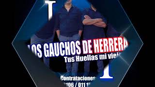 Video thumbnail of "LOS GAUCHOS DE HERRERA 2018 (Tus Huellas mi viejo) Amada mia"