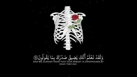 قرآن كريم بصوت القارئ: هزاع البلوشي || أجمل حالات واتس اب دينيه || تلاوة خاشعة HD🍀🍃