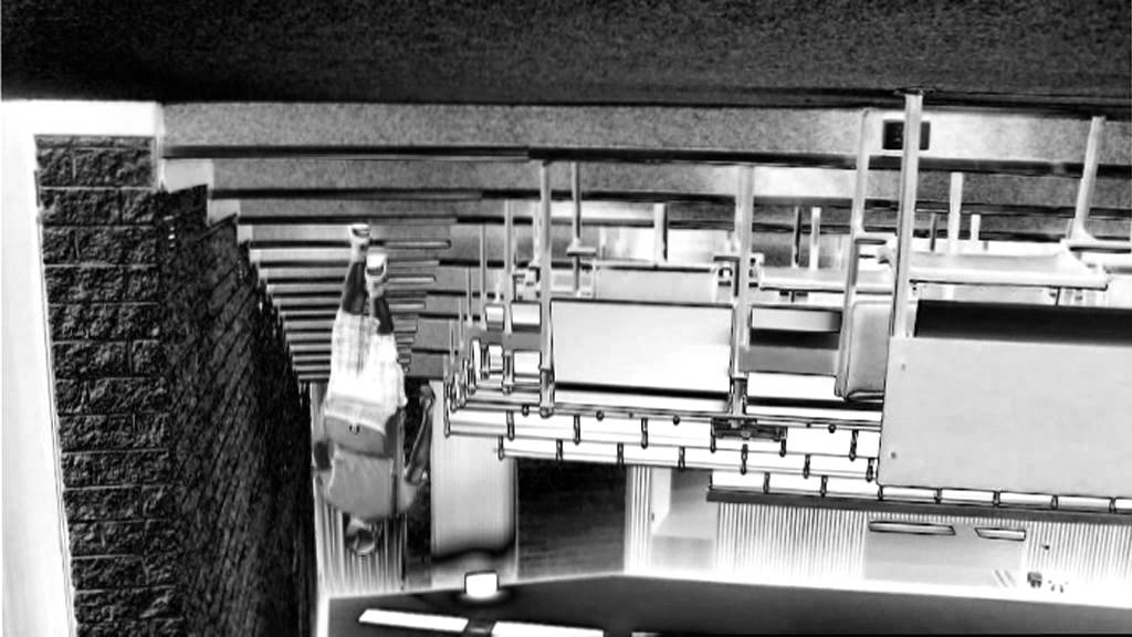 Golden Wish (A Or B) Funny Animation - YouTube Auto PHP Script